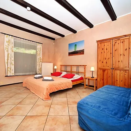 Wild House 슈차이르크