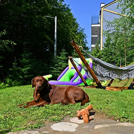 Wild House Homestay szállás