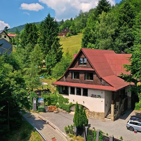 Проживание в семье Wild House - Dom Dla Grup 15-23os Z Widokiem Na Skrzyczne